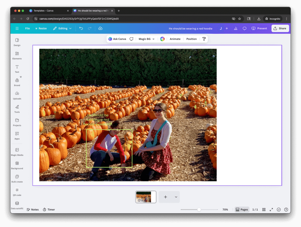 Canva with image and instructions